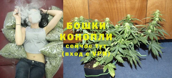 мдпв Новосибирск