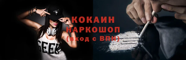 прущие грибы Кукмор