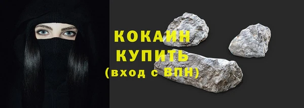 прущие грибы Кукмор