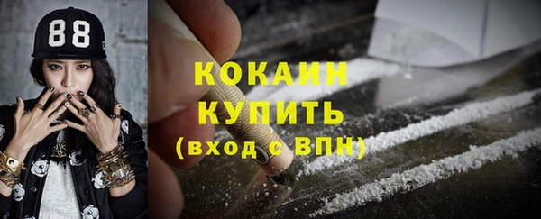 прущие грибы Кукмор